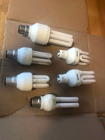 Photo of free Light bulbs (Chipstead TN13) #1