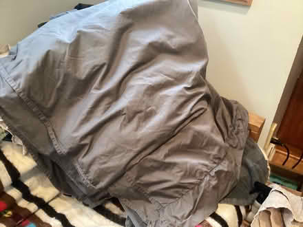 Photo of free Gray King top sheet (North west Seattle) #1