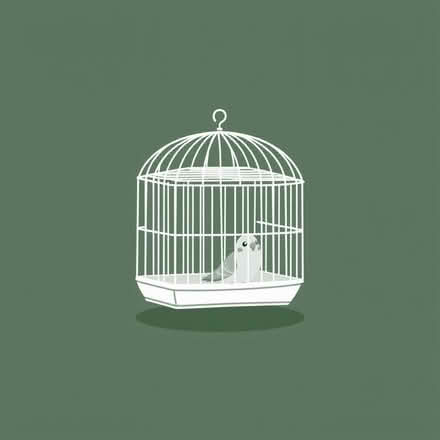 Photo of Budgie cage (Orrell Mount L20) #1