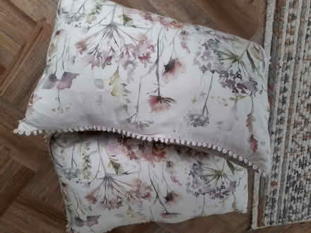 Photo of free Cushions (Eythorne CT15) #2