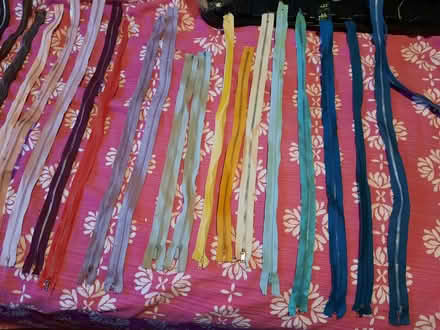 Photo of free Zips! (Hollingdean BN1) #4