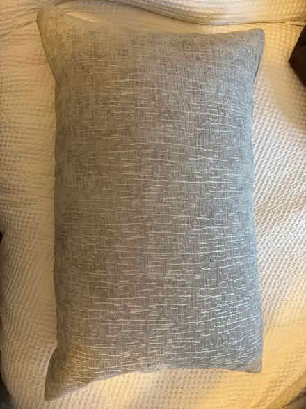 Photo of free Next grey chenille cushions with inserts (Hornsey N8) #1