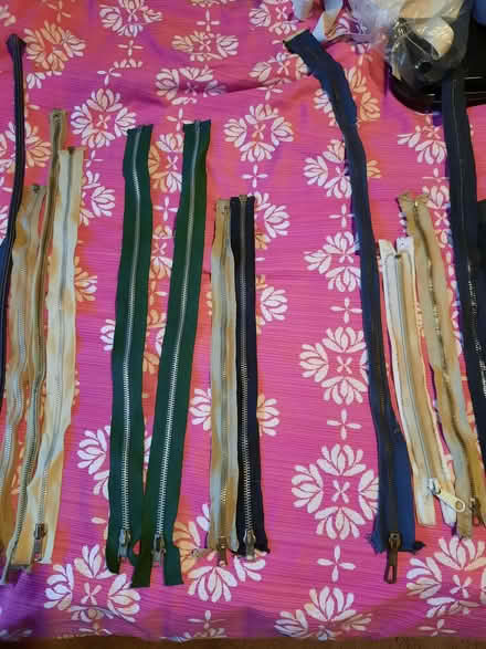 Photo of free Zips! (Hollingdean BN1) #1