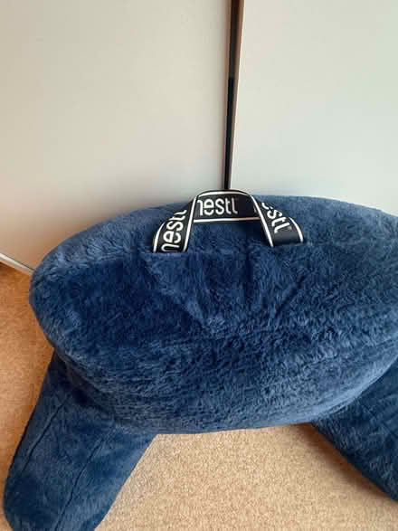 Photo of free Nestle Reading Pillow (Borough SE1) #3