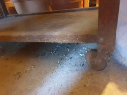 Photo of free wooden trolley (Sandon CM2) #2