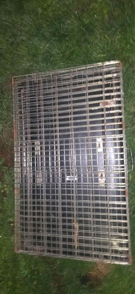 Photo of free Dog crate (Drybrook GL17) #1