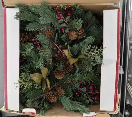 Photo of free Christmas hanging basket (Skerton LA1) #3