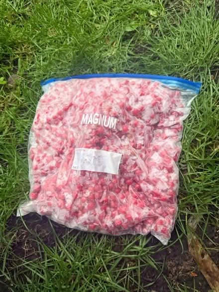 Photo of free Frozen Redcurrants (Crowborough TN6) #1