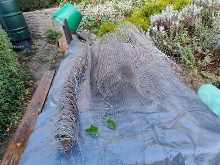 Photo of free Miscellaneous rolls of chicken wire - type (Stinchcombe GL11) #1