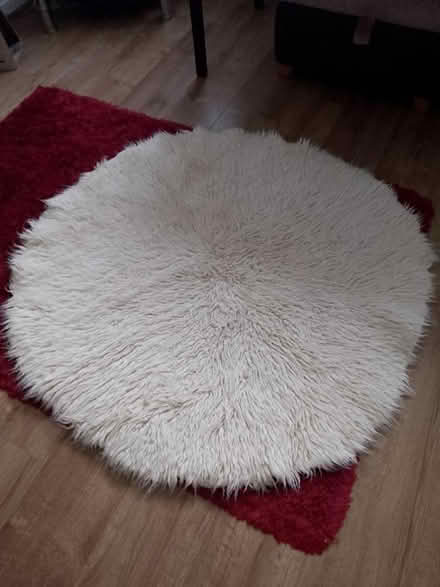 Photo of free Fluffy rugs (Walderslade) #2