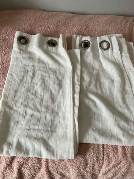 Photo of free Pair net curtains (TW14 bedfont) #1