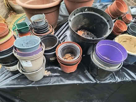 Photo of free Loads of plant pots (Crowthorne RG45) #3