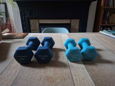 Photo of free Dumbells (Whipps Cross E10) #1