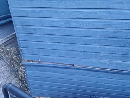 Photo of free Shed (Staines, Middx) #3