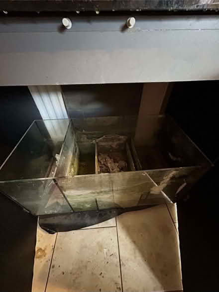 Photo of free Fish/Reptile Tank (Saint Andrew Auckland DL14) #2