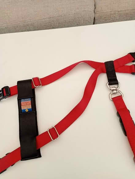Photo of free Dog Harness (Pinehurst SN25) #1