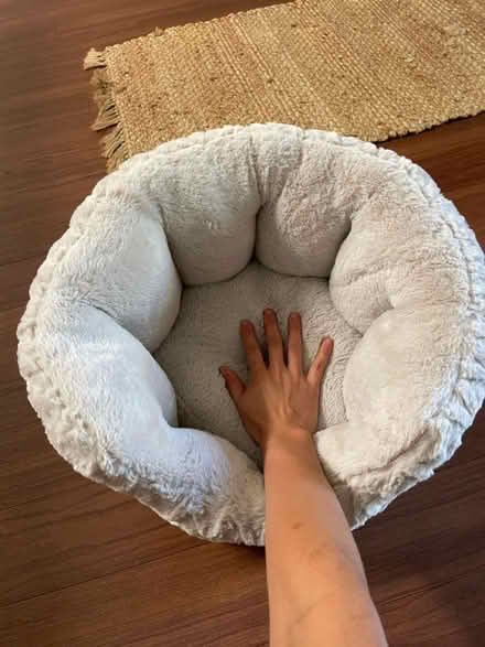 Photo of free small pet bed (san jose west) #2
