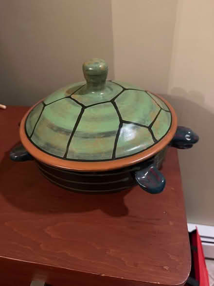 Photo of free Large turtle casserole (Brighton) #1