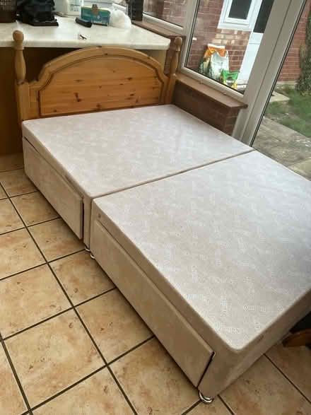 Photo of free Double divan bed (Far Cotton NN4) #1