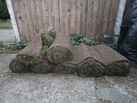 Photo of free 7 rolls of turf (Sidcup DA15) #2