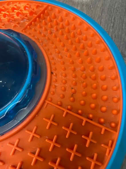 Photo of free Cool pet Frisbee Treat Dispenser. Good condition (Southsea PO4) #2