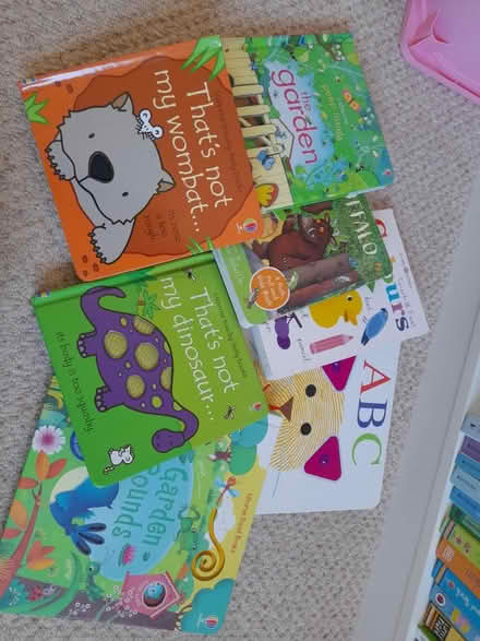 Photo of free Children's books (Maidstone ME17) #1