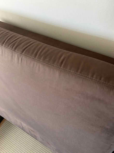 Photo of free Single sofa bed (Westham BN24) #3