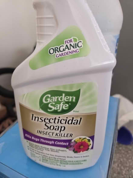 Photo of free Insecticide soap (Glenview near Northbrook) #2