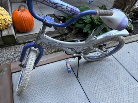 Photo of free Girls 18” bike (L5L 5P5) #1