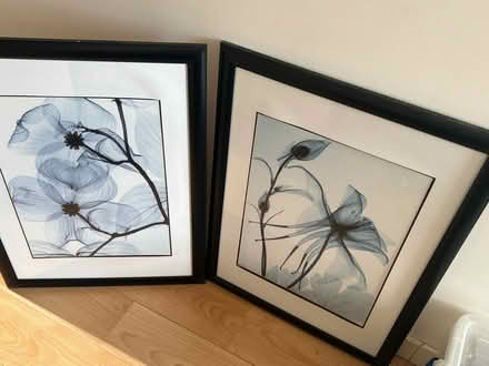 Photo of free Pair of pictures (City Centre NR1) #1