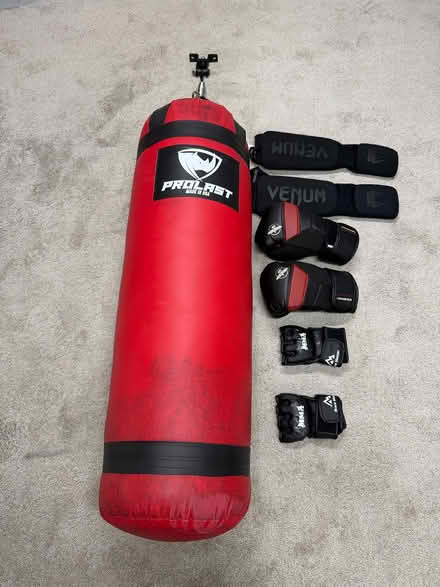 Photo of free Heavy bag for workouts w gloves (Duffield Road) #1