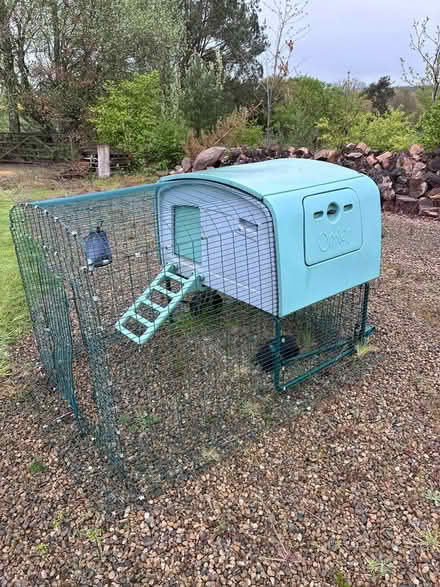 Photo of free Omlet Chicken Coop (Morpeth NE61) #1