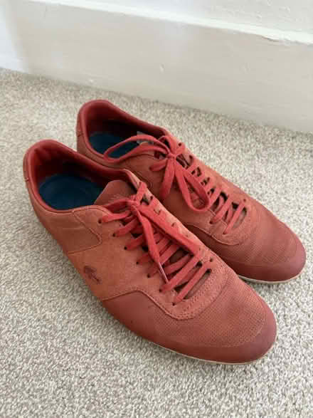 Photo of free Lacoste Trainers Size 10 (Dyke Road area BN1) #1