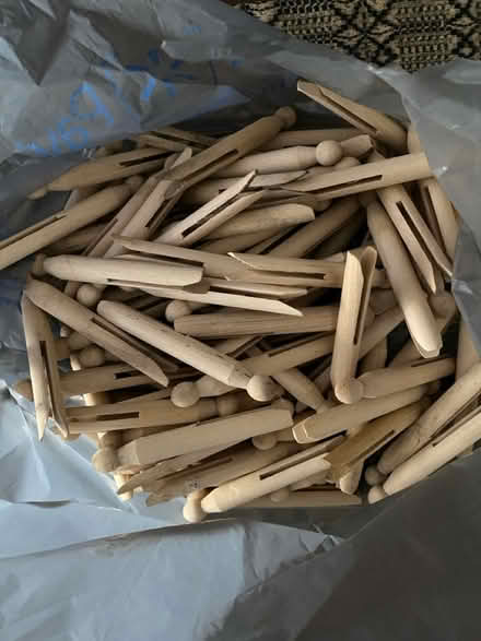 Photo of free Clothes pins (Glenolden 19036) #1