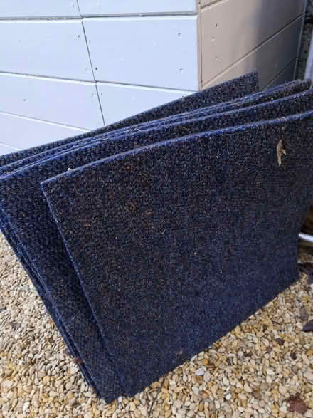 Photo of free Carpet tiles (Grandpont OX1) #1
