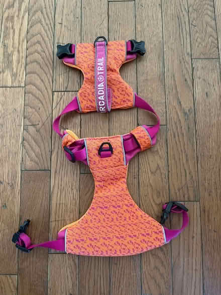 Photo of free Harness for small dog (Ottawa west) #1