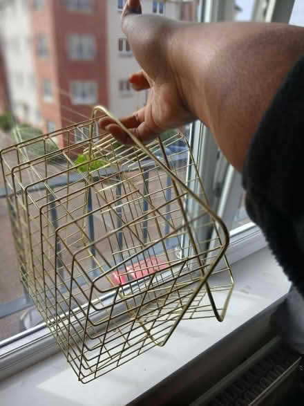 Photo of free Storage baskets (Carrick Knowe EH12) #1