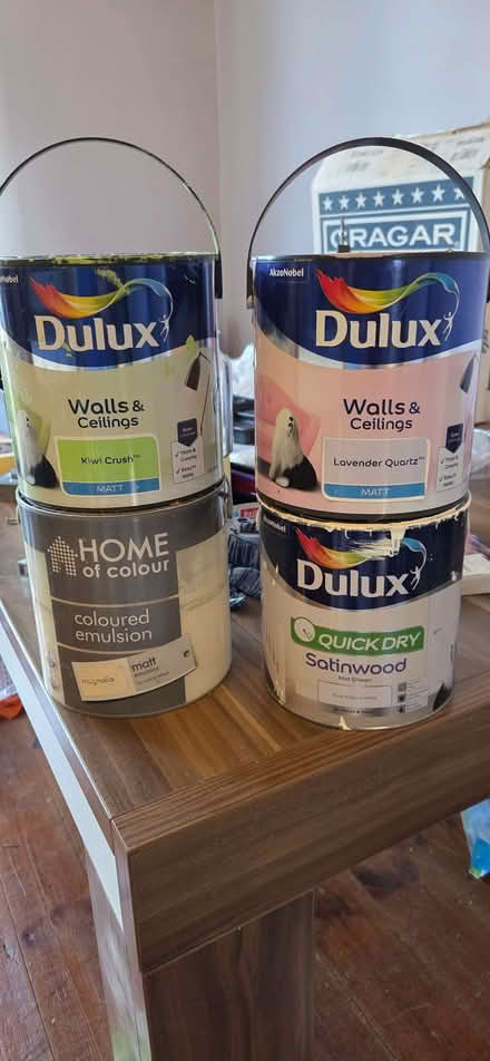 Photo of free Paint (Bellingham SE6) #1