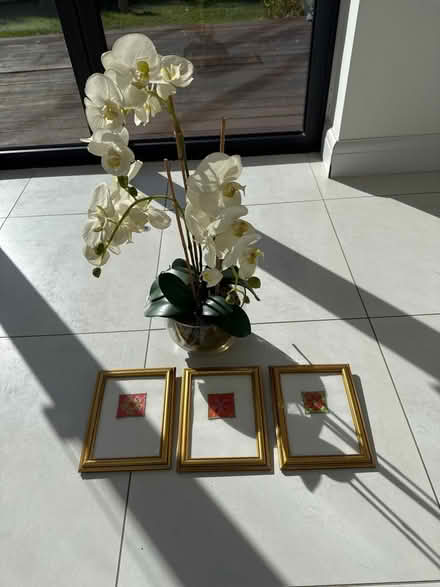 Photo of free 3 Embroidered pictures + 1 fake but realistic orchid (Hunton Bridge WD4) #1