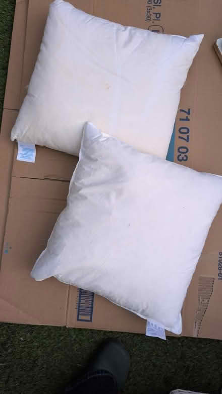 Photo of free 2 duck feather cushion pads 45x45cm (The Camp AL4) #1