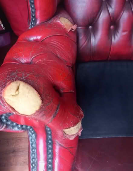 Photo of free Chesterfield oxblood chair (Chatham ME5) #3