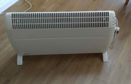 Photo of free Dimplex electric heater (SG54QF Greenacres) #1