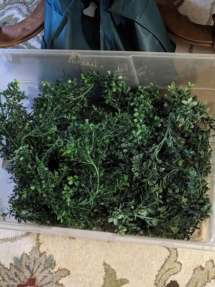 Photo of free Artificial Mistletoe Garland (Belford, N.J.) #1