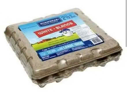 Photo of egg sharing volunteer (Britannia) #1