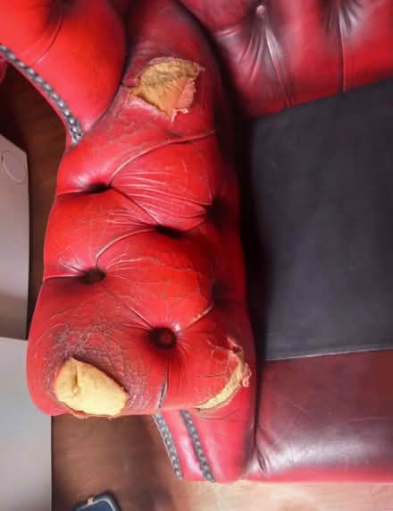 Photo of free Chesterfield oxblood chair (Chatham ME5) #4