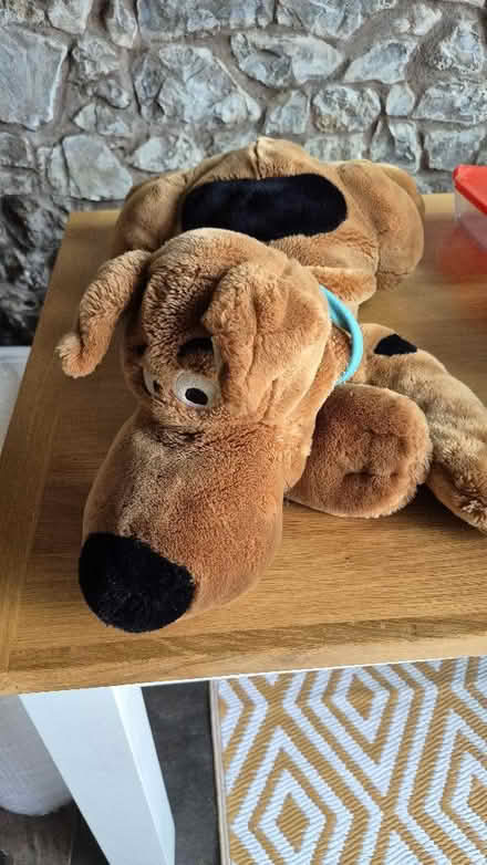 Photo of free Scooby Doo (Worle BS22) #1
