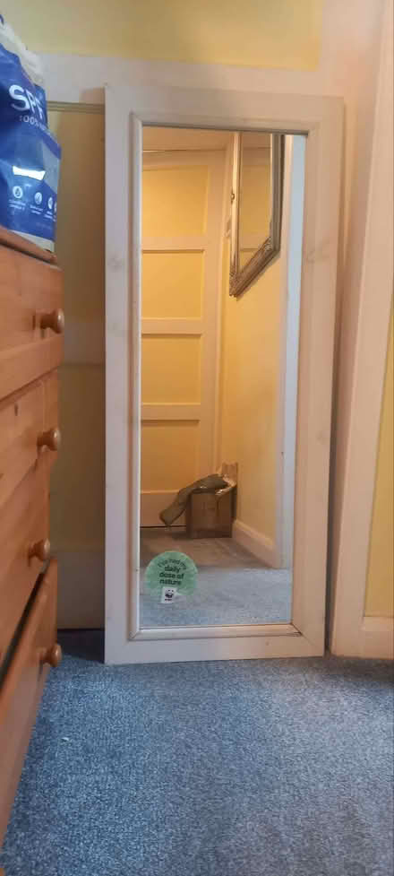 Photo of free Full length mirror. (East Runton NR27) #1