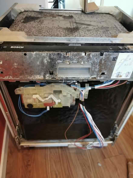 Photo of free Integrated Bosch Dishwasher, N16 (Stoke Newington, N16 0) #3