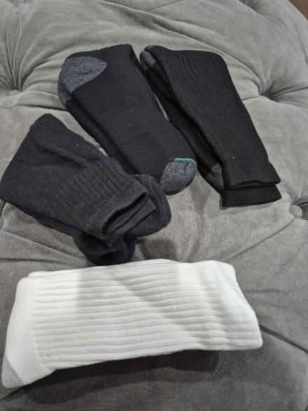 Photo of free Socks (Bowie) #1