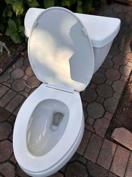 Photo of free Toilet bowl,\Kohler (Wood-Ridge) #2